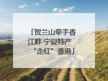贺兰山牵手香江畔 宁夏特产“走红”香港