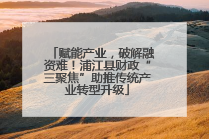 赋能产业，破解融资难！浦江县财政“三聚焦”助推传统产业转型升级
