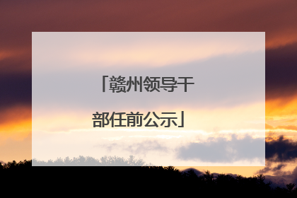 赣州领导干部任前公示
