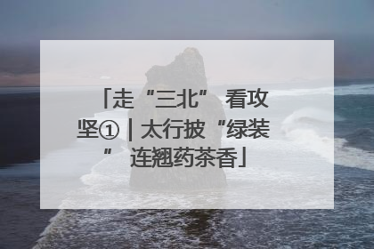 走“三北” 看攻坚①｜太行披“绿装” 连翘药茶香