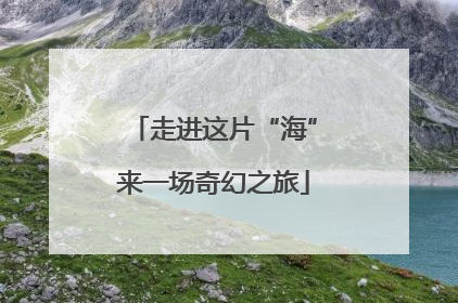 走进这片“海”来一场奇幻之旅