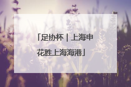 足协杯｜上海申花胜上海海港