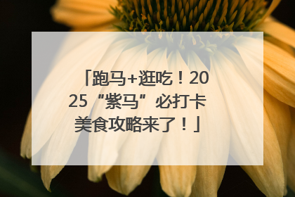 跑马+逛吃！2025“紫马”必打卡美食攻略来了！