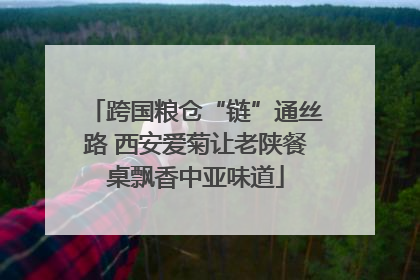 跨国粮仓“链”通丝路 西安爱菊让老陕餐桌飘香中亚味道