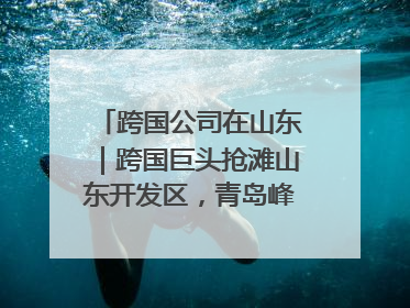 跨国公司在山东｜跨国巨头抢滩山东开发区，青岛峰会拉开帷幕