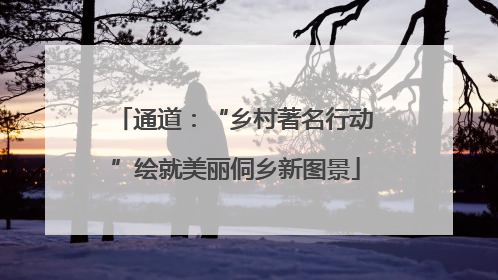 通道：“乡村著名行动”绘就美丽侗乡新图景