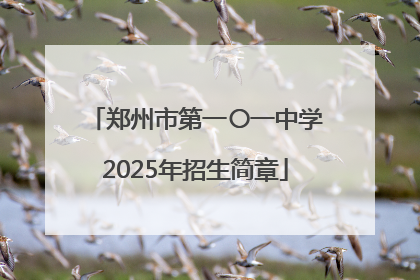 郑州市第一〇一中学2025年招生简章