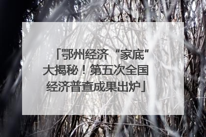 鄂州经济“家底”大揭秘！第五次全国经济普查成果出炉