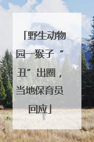 野生动物园一猴子“丑”出圈，当地保育员回应