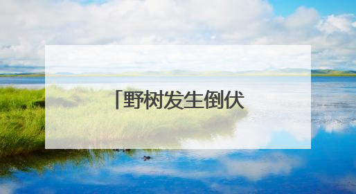 野树发生倒伏，社区4小时消除安全隐患