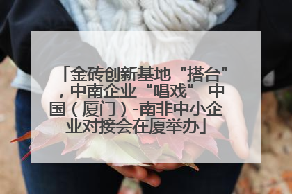 金砖创新基地“搭台”，中南企业“唱戏” 中国（厦门）-南非中小企业对接会在厦举办