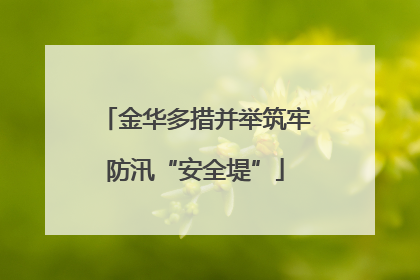 金华多措并举筑牢防汛“安全堤”