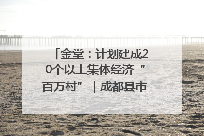 金堂：计划建成20个以上集体经济“百万村”｜成都县市新城高质量发展