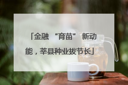 金融 “育苗” 新动能，莘县种业拔节长