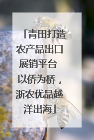 青田打造农产品出口展销平台 以侨为桥，浙农优品越洋出海