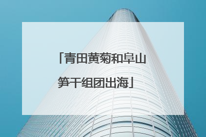 青田黄菊和阜山笋干组团出海