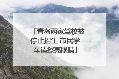 青岛两家驾校被停止招生 市民学车请擦亮眼睛