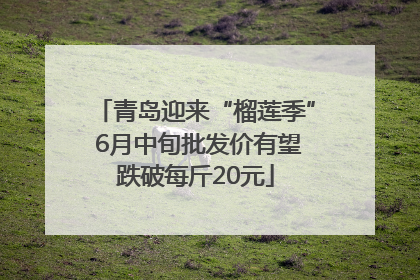 青岛迎来“榴莲季” 6月中旬批发价有望跌破每斤20元