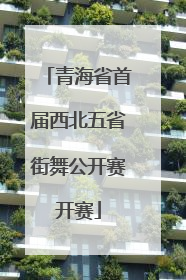 青海省首届西北五省街舞公开赛开赛