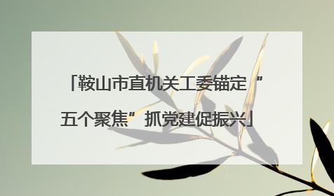 鞍山市直机关工委锚定“五个聚焦”抓党建促振兴
