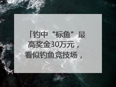 钓中“标鱼”最高奖金30万元，看似钓鱼竞技场，实则以高额“回报”作“饵”……｜今晚九点半