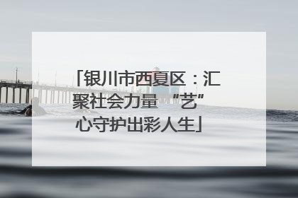 银川市西夏区：汇聚社会力量 “艺”心守护出彩人生