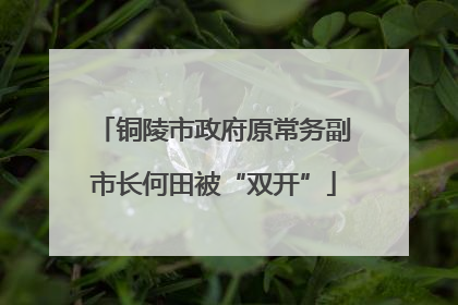 铜陵市政府原常务副市长何田被“双开”