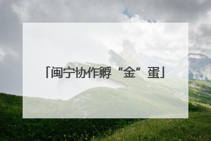 闽宁协作孵“金”蛋
