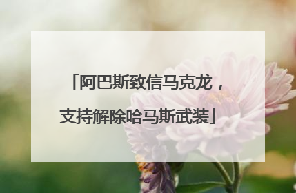 阿巴斯致信马克龙，支持解除哈马斯武装