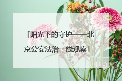 阳光下的守护——北京公安法治一线观察