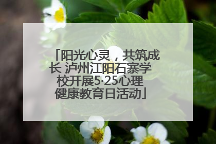 阳光心灵，共筑成长 泸州江阳石寨学校开展5·25心理健康教育日活动