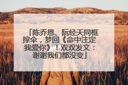 陈乔恩、阮经天同框撑伞，梦回《命中注定我爱你》！双双发文：谢谢我们都没变