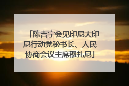陈吉宁会见印尼大印尼行动党秘书长、人民协商会议主席穆扎尼