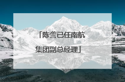 陈詟已任南航集团副总经理