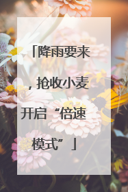 降雨要来，抢收小麦开启“倍速模式”