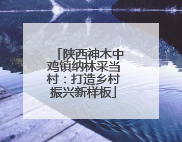 陕西神木中鸡镇纳林采当村：打造乡村振兴新样板