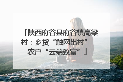 陕西府谷县府谷镇高梁村：乡货“触网出村” 农户“云端致富”