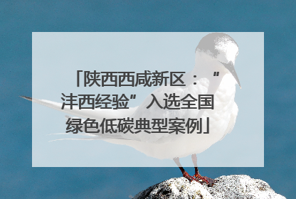 陕西西咸新区：“沣西经验”入选全国绿色低碳典型案例
