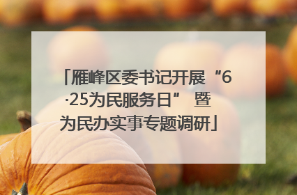 雁峰区委书记开展“6·25为民服务日” 暨为民办实事专题调研