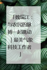 魏瑞江：与农民的脉搏一起跳动｜最美气象科技工作者
