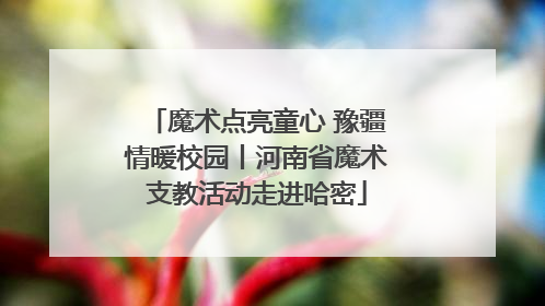 魔术点亮童心 豫疆情暖校园丨河南省魔术支教活动走进哈密
