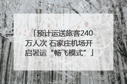 预计运送旅客240万人次 石家庄机场开启暑运“畅飞模式”