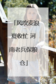 风吹麦浪夏收忙 河南老兵保粮仓