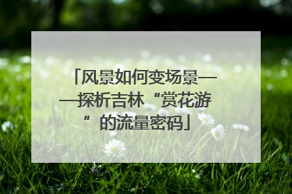 风景如何变场景——探析吉林“赏花游”的流量密码