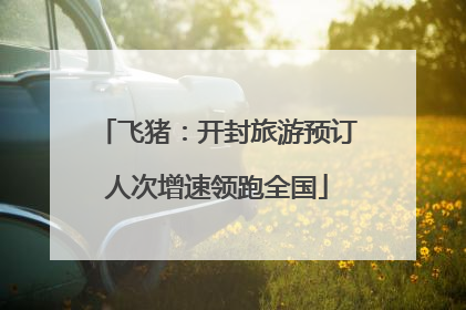 飞猪：开封旅游预订人次增速领跑全国