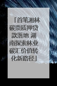 首笔湘林碳票质押贷款落地 湖南探索林业碳汇价值转化新路径