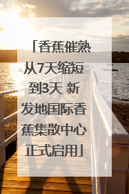 香蕉催熟从7天缩短到3天 新发地国际香蕉集散中心正式启用