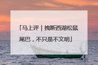 马上评｜拽断西湖松鼠尾巴，不只是不文明