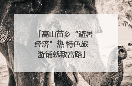 高山苗乡“避暑经济”热 特色旅游铺就致富路