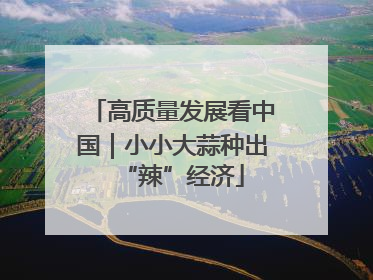 高质量发展看中国｜小小大蒜种出“辣”经济